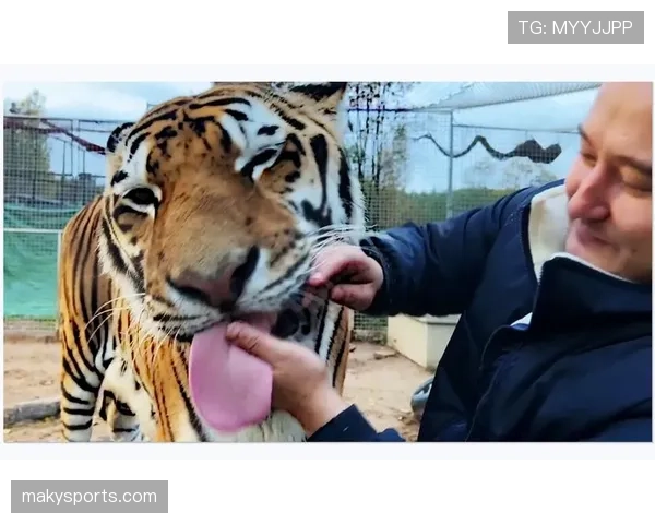 小罗退役后还在夜店蹦迪，豪宅里养了三只老虎当宠物？